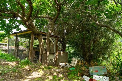 Lejlighed i Cetraro, Cosenza, Cetraro - € 90.000 | Ref: 551 - foto 17
