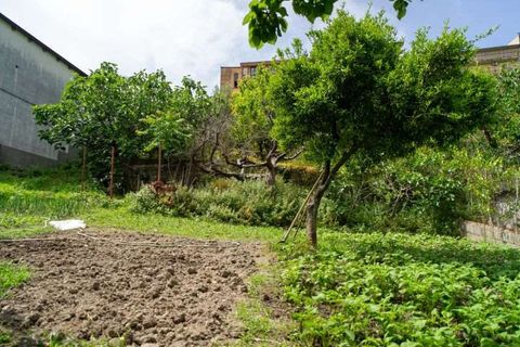 Lejlighed i Cetraro, Cosenza, Cetraro - € 90.000 | Ref: 551 - foto 19