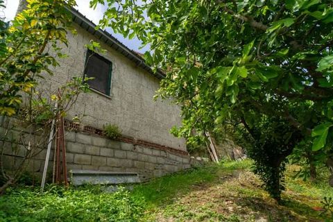 Lejlighed i Cetraro, Cosenza, Cetraro - € 90.000 | Ref: 551 - foto 20