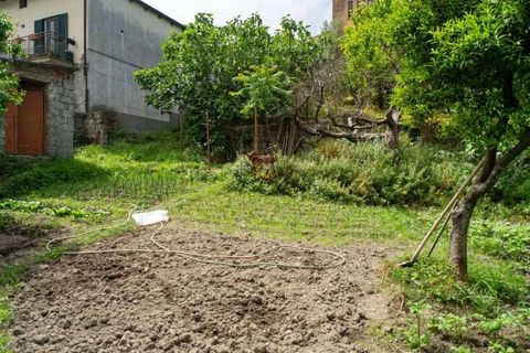 Lejlighed i Cetraro, Cosenza, Cetraro - € 90.000 | Ref: 551 - foto 21