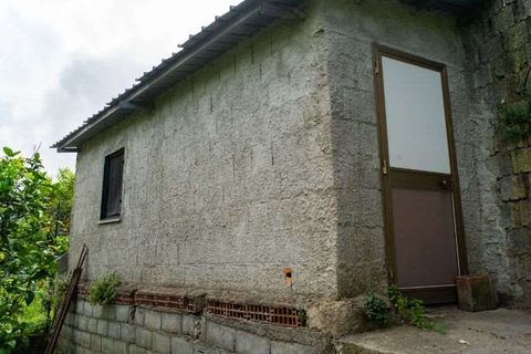 Lejlighed i Cetraro, Cosenza, Cetraro - € 90.000 | Ref: 551 - foto 22