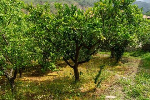 Lejlighed i Cetraro, Cosenza, Cetraro - € 90.000 | Ref: 551 - foto 24