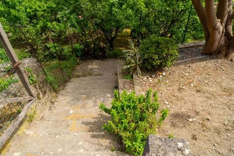 Lejlighed i Cetraro, Cosenza, Cetraro - € 90.000 | Ref: 551 - foto 25