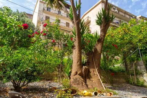 Lejlighed i Cetraro, Cosenza, Cetraro - € 90.000 | Ref: 551 - foto 27