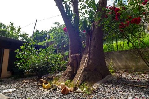 Lejlighed i Cetraro, Cosenza, Cetraro - € 90.000 | Ref: 551 - foto 28