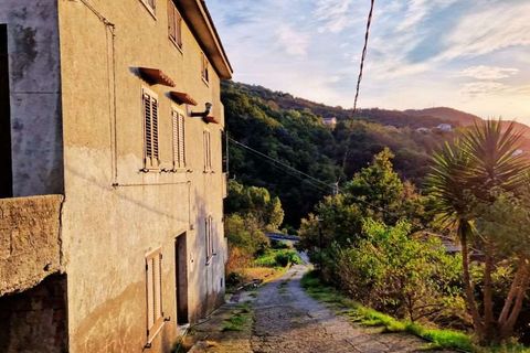 Leilighet i Sangineto, Cosenza, Sangineto - € 32 000 | Ref: 719 - foto 17