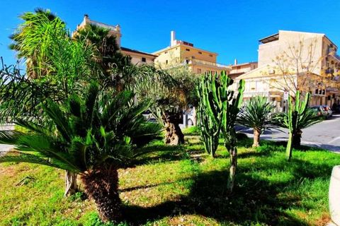 Leilighet i Cetraro, Cosenza, Cetraro - € 60 000 | Ref: 755 - foto 27