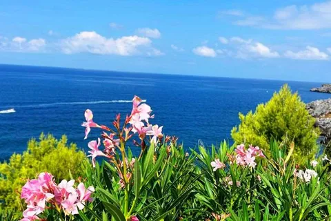 Villa i Scalea, Cosenza, Scalea - € 490.000 | Ref: 962 - foto 7
