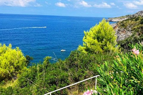 Villa i Scalea, Cosenza, Scalea - € 490.000 | Ref: 962 - foto 8