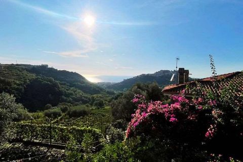 Villa i Belvedere Marittimo, Cosenza, Belvedere Marittimo - € 145.000 | Ref: 993 - foto 1