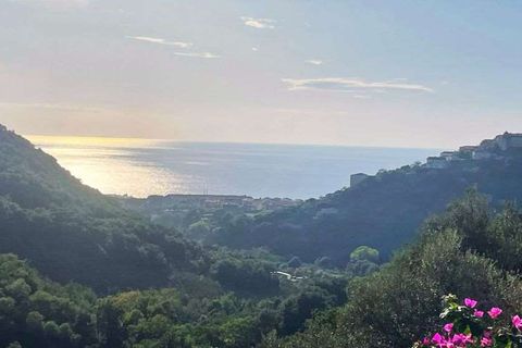 Villa i Belvedere Marittimo, Cosenza, Belvedere Marittimo - € 145.000 | Ref: 993 - foto 2