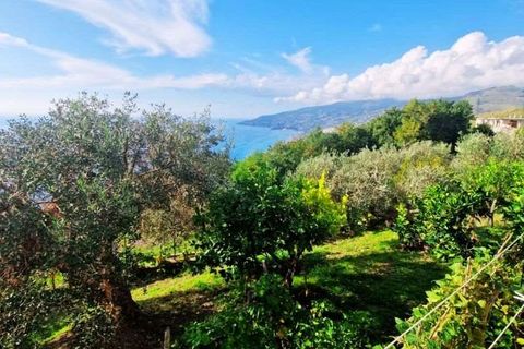 Byhus i Acquappesa, Cosenza, Acquappesa - € 150.000 | Ref: 1016 - foto 44