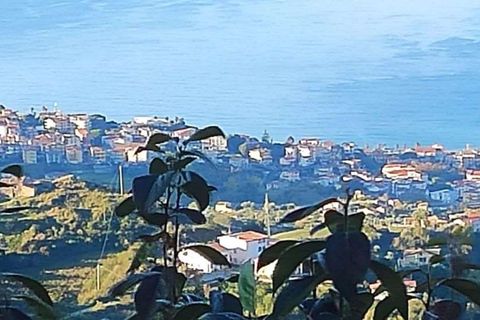 Villa a Belvedere Marittimo, Cosenza, Belvedere Marittimo - € 115.000 | Ref: 1063 - foto 9