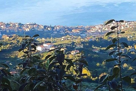 Villa a Belvedere Marittimo, Cosenza, Belvedere Marittimo - € 115.000 | Ref: 1063 - foto 10
