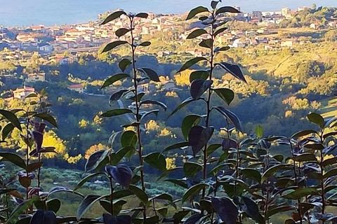 Villa a Belvedere Marittimo, Cosenza, Belvedere Marittimo - € 115.000 | Ref: 1063 - foto 11