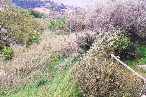 Leilighet i Cetraro, Cosenza, Cetraro - € 40 000 | Ref: 602A - foto 38