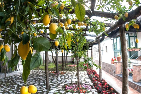 Leilighet i Scala, Salerno, Scala - € 680 000 | Ref: SCALA3 - foto 6