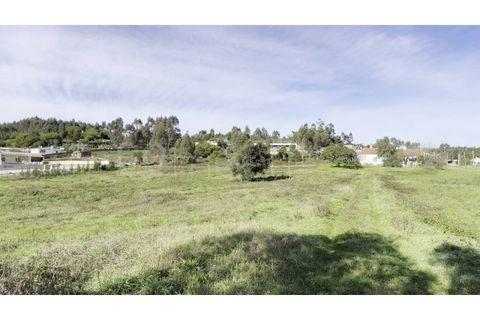 Helårsgrund i Torres Vedras, Lisbon, Torres Vedras - € 160.000 | Ref: TER_123 - foto 10