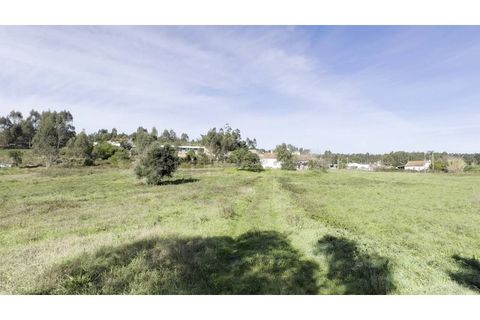 Helårsgrund i Torres Vedras, Lisbon, Torres Vedras - € 160.000 | Ref: TER_123 - foto 12