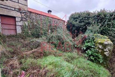 Villa i Aguiar da Beira, Guarda, Aguiar da Beira - € 69.000 | Ref: 188/ 2024 - foto 26