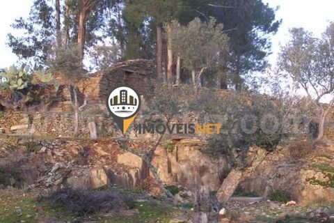 Helårsgrund i Castelo Branco, Castelo Branco, Castelo Branco - € 25.000 | Ref: 2772 - foto 2