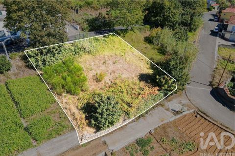 Byhus i Calheta, Madeira, Calheta - € 920.000 | Ref: 131768 - foto 4