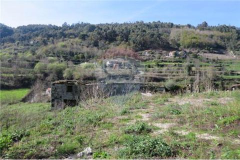 Villa a Celorico de Basto, Braga, Celorico de Basto - € 41.000 | Ref: 126221008-71 - foto 9