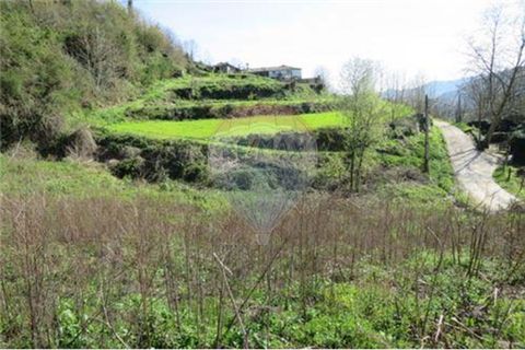 Villa a Celorico de Basto, Braga, Celorico de Basto - € 41.000 | Ref: 126221008-71 - foto 10