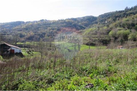 Villa a Celorico de Basto, Braga, Celorico de Basto - € 41.000 | Ref: 126221008-71 - foto 11