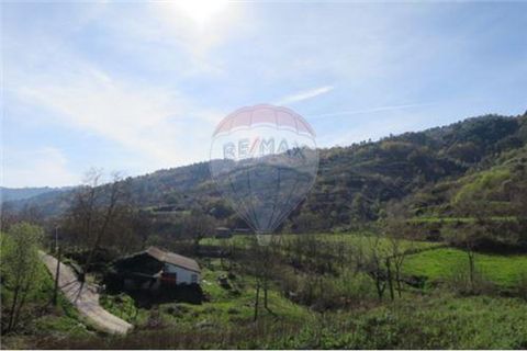Villa a Celorico de Basto, Braga, Celorico de Basto - € 41.000 | Ref: 126221008-71 - foto 12
