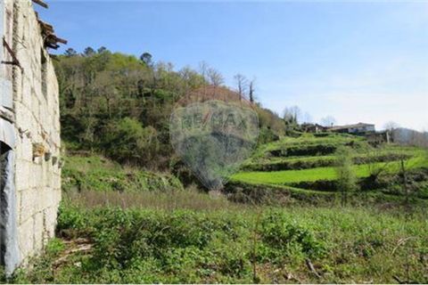 Villa a Celorico de Basto, Braga, Celorico de Basto - € 41.000 | Ref: 126221008-71 - foto 13