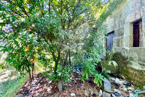 Villa i Celorico de Basto, Braga, Celorico de Basto - € 55.000 | Ref: 126221008-90 - foto 8