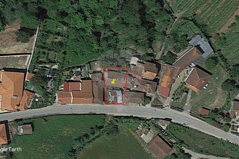 Villa i Celorico de Basto, Braga, Celorico de Basto - € 55.000 | Ref: 126221008-90 - foto 12