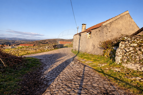 Villa a Montalegre, Vila Real, Montalegre - € 22.500 | Ref: 126311008-34 - foto 6