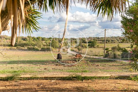 Villa a Manacor, Mallorca, Manacor - € 2.690.000 | Ref: VPM2501003 - foto 23