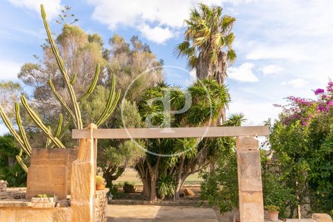 Villa a Manacor, Mallorca, Manacor - € 2.690.000 | Ref: VPM2501003 - foto 32