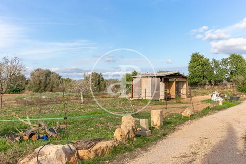 Villa a Manacor, Mallorca, Manacor - € 2.690.000 | Ref: VPM2501003 - foto 35