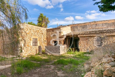 Villa a Manacor, Mallorca, Manacor - € 2.690.000 | Ref: VPM2501003 - foto 36