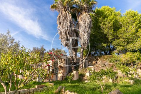 Villa a Manacor, Mallorca, Manacor - € 2.690.000 | Ref: VPM2501003 - foto 38