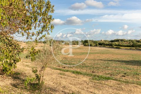 Villa a Manacor, Mallorca, Manacor - € 2.690.000 | Ref: VPM2501003 - foto 39