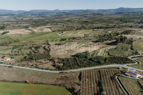 Terra a Belmonte, Castelo Branco, Belmonte - € 60.000 | Ref: 111250004 - foto 2