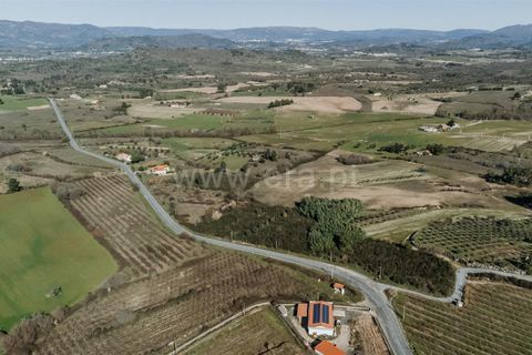 Terra a Belmonte, Castelo Branco, Belmonte - € 60.000 | Ref: 111250004 - foto 3