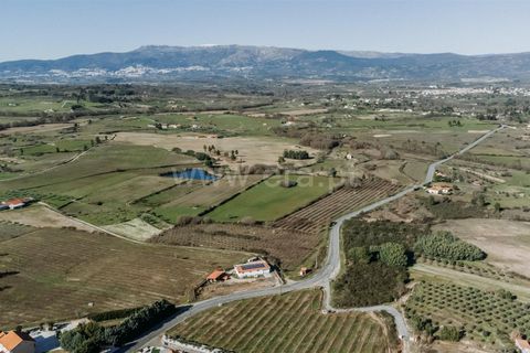 Terra a Belmonte, Castelo Branco, Belmonte - € 60.000 | Ref: 111250004 - foto 4