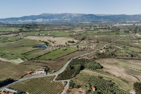 Terra a Belmonte, Castelo Branco, Belmonte - € 60.000 | Ref: 111250004 - foto 5