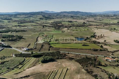 Terra a Belmonte, Castelo Branco, Belmonte - € 60.000 | Ref: 111250004 - foto 8