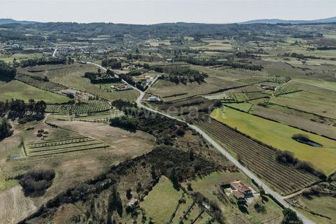 Terra a Belmonte, Castelo Branco, Belmonte - € 60.000 | Ref: 111250004 - foto 9