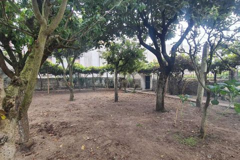 Villa i Vila do Conde, Porto, Vila do Conde - € 399.000 | Ref: AV-PBI-1500 - foto 7