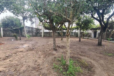 Villa i Vila do Conde, Porto, Vila do Conde - € 399.000 | Ref: AV-PBI-1500 - foto 19