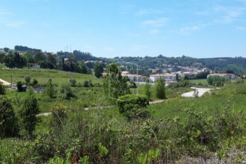 Helårsgrund i Alcobaca, Leiria, Alcobaca - € 7.250.000 | Ref: AV-PBI-1253 - foto 1