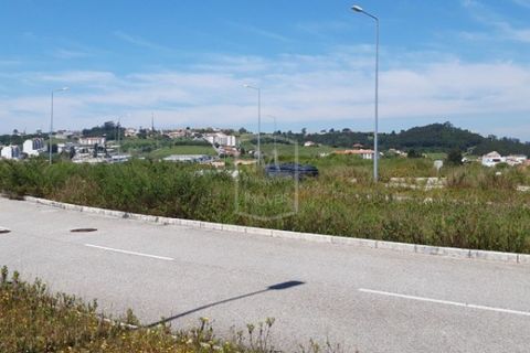 Helårsgrund i Alcobaca, Leiria, Alcobaca - € 7.250.000 | Ref: AV-PBI-1253 - foto 4